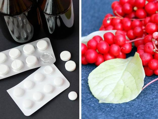 Pseudoefedryna a efedryna jak różnią się działaniem zastosowaniami i ryzykiem?