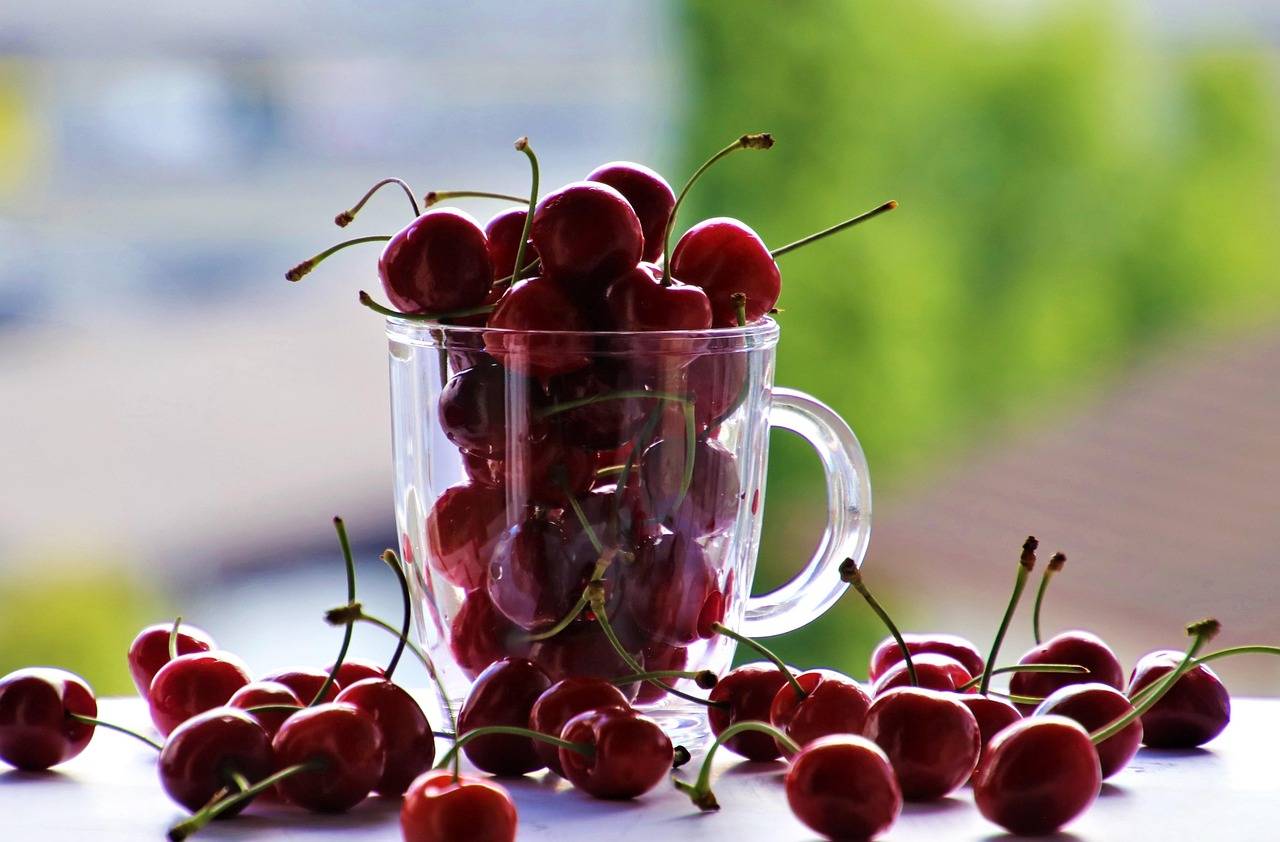 Dieta redukcyjna co to właściwie oznacza?